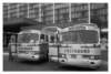 tourbusses_small.jpg